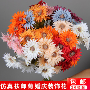 ��c���滨���ɾ� ��Y�����ҾӲ廨�ľջ� �Ƶ���̨�ٻ��b�ˇ