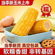 �|��ԭ�a�SŴ������Ŵ�S���ת�����հ��bճ�������r��ʹ��͵�֬