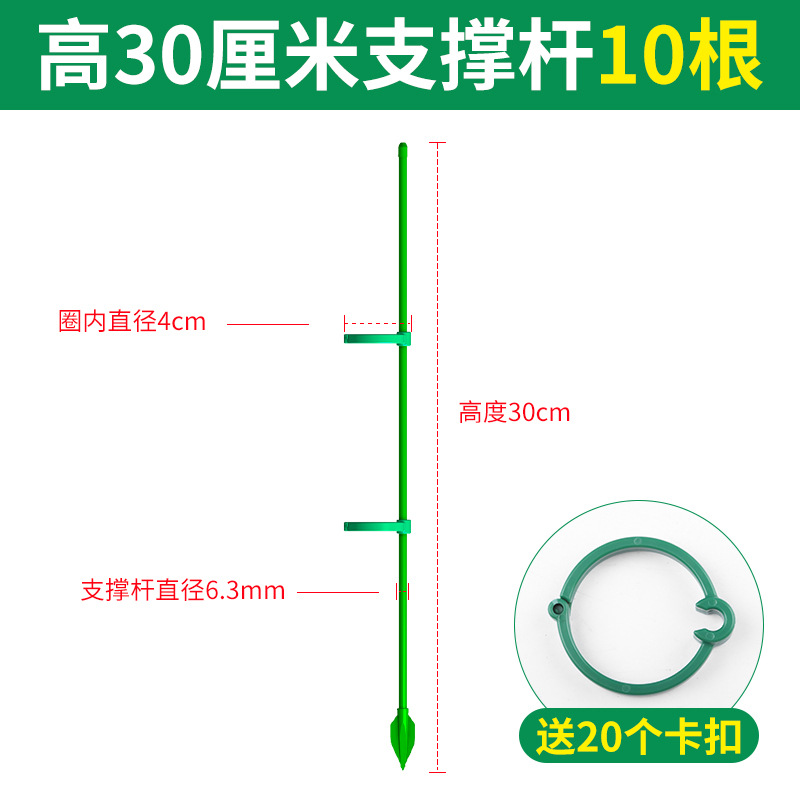 Altura 30cm [10 peças] vem com 20 fivelas + 10 plugues de aterramento