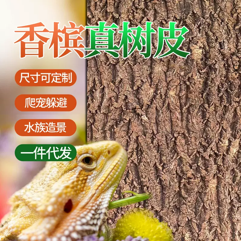 天然香槟真树皮软木爬宠鱼缸背景板绿植墙水族造景装饰贴爬宠造景