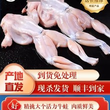 牛蛙超大特大鲜活新鲜冷冻田鸡青蛙蛤蟆杀好后蛙块商用火锅食材无