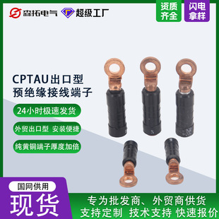 �羳�����F؛CPTAU�������A�^���Ӿ����� �~�X�^��늾��~�������l