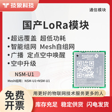 NSM-U1开发套件无线通信模块Mesh/lora物联串口收发模块433/470