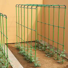 �����S��ͥԺ�̨���ѷN��֧�ܼ��Ӽ������������ܶ���ֲ��ϼ���