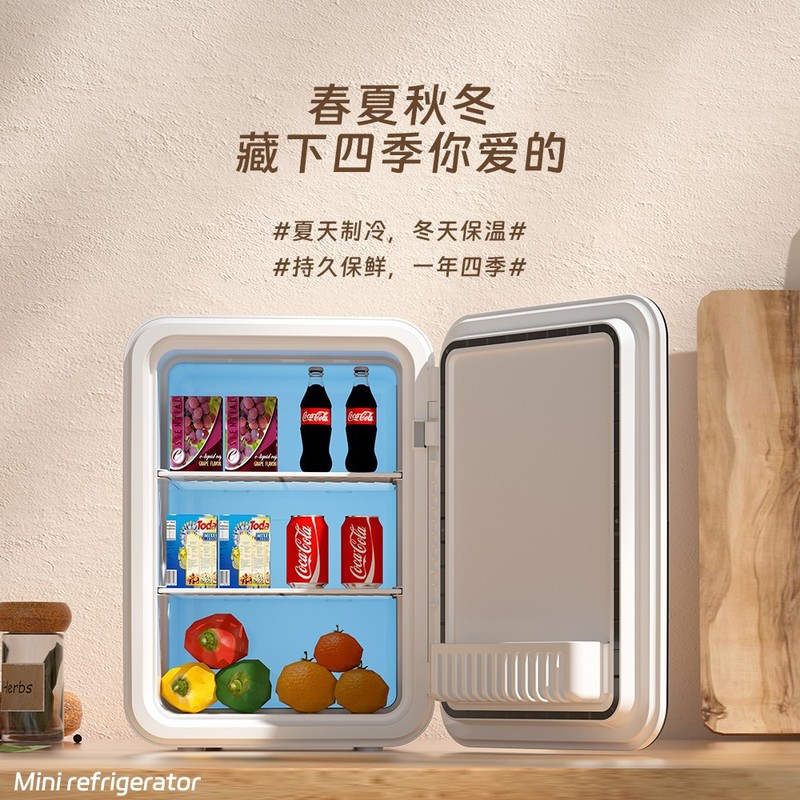 车载冰箱迷你小冰箱冷冻冷藏家用宿舍车载办公室小型冰柜|undefined