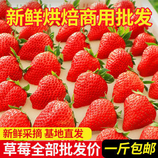 ���ݮ���rˮ���p��ݮ��ݮ�tݮ���õ���決�Ǻ��J����