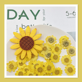 �Sˮ���ջ� ���uͨ�ɻ�؛Դ���lDIY���z���|�������Ϟ�T��������
