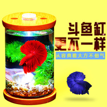 创意生态瓶斗鱼缸观赏鱼虾螺微景观 玻璃小型桌面瓶真水草造景