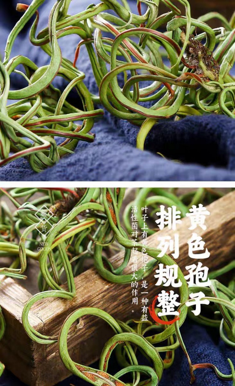 Wild Huashi Cao & Shenjing Cao (Lysimachia & Clerodendrum) — Changbai Mountain Dried Herb, 500g specifications