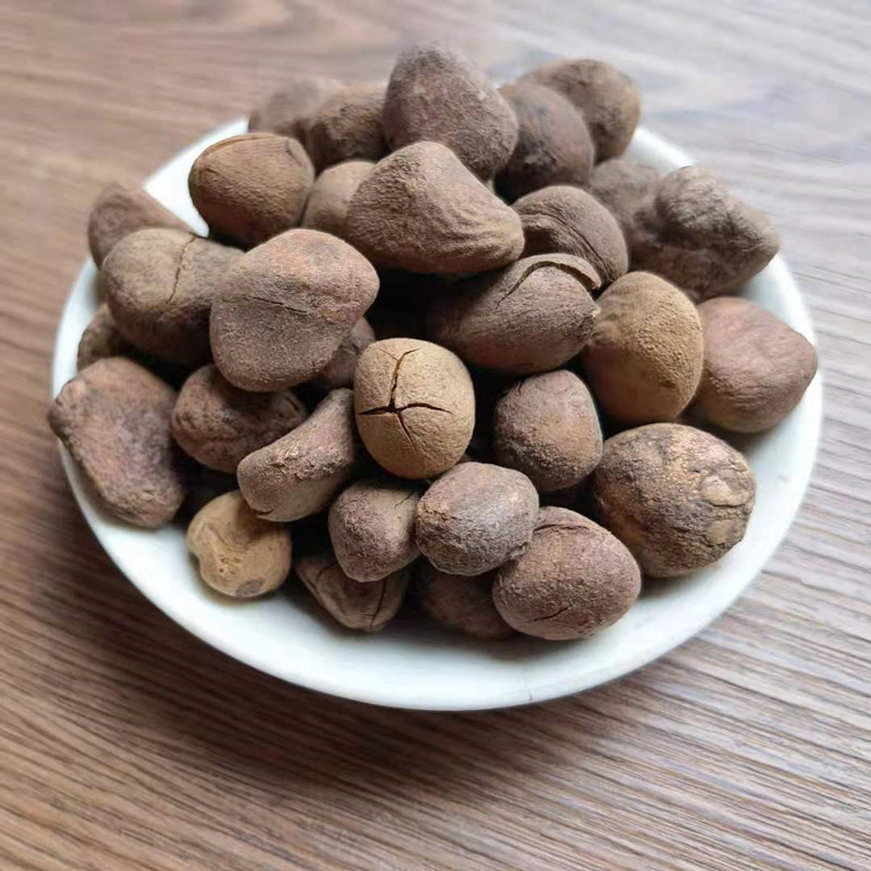 Dried Chaulmoogra Seeds Da Feng Zi 大枫子 Whole Herb Bulk Supply quality and texture