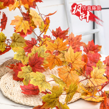 �t���~�ٗl��ڼ٘��~���f�}�����}�����쾰�������b���