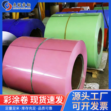 ��䓰��������W�ڲʉT�忹��ɫ�S��ֱ����䓾�\����ҲʉT��