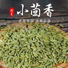 小茴香甘肃颗粒粉香料籽烧烤调料孜然炒卤炖肉干桂皮八角厂家批发