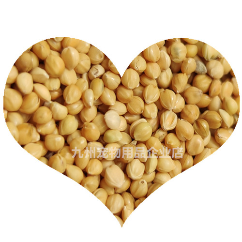 Selected yellow millet, small and medium-sized parrot feed, new bird food, millet, tiger skin, black phoenix, peony, large grain millet