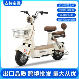 电动自行车;电动滑板车;充电电池