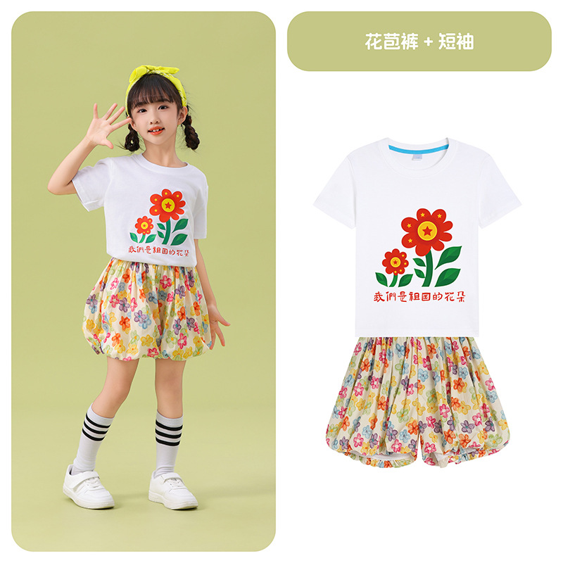 Bud pants + T-shirt