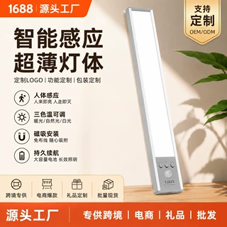 跨境人体感应灯充电款橱柜衣柜灯卧室氛围灯超薄LED长条磁吸灯