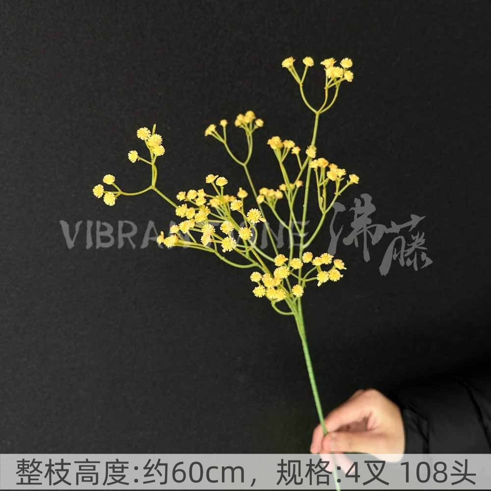Yellow gypsophila