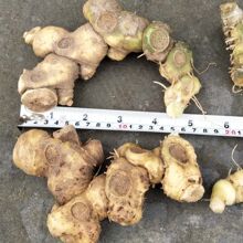 ���x ���rҰ���S���F�ݲ�Ұ�����u�^�S�� �����S�� ���S5l