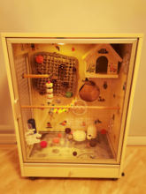 �d�r����Ì�ľ�W�^�\�B�\�������P�W�^�\�ӷ�ֳ�^�p�\DIY�쾰�\