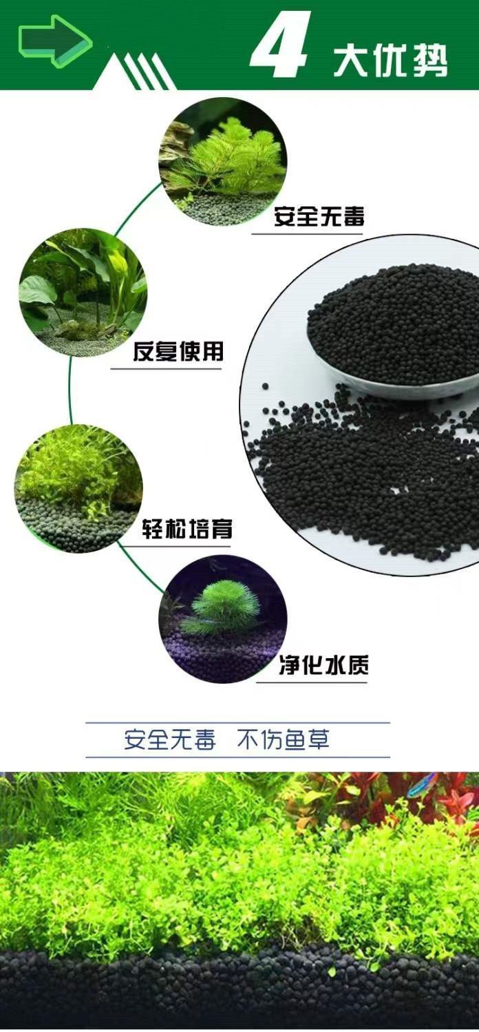 f731d328-9090-41d8-ac22-bb6ec56423c5.jpe