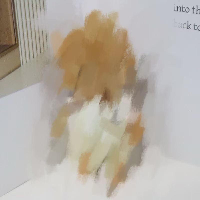 if you need anything， please contact customer service to note the order.