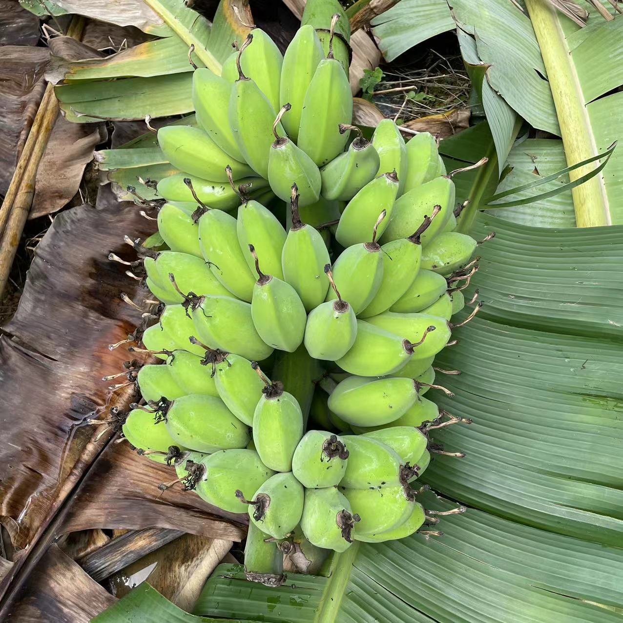 微信图片_20230512101834