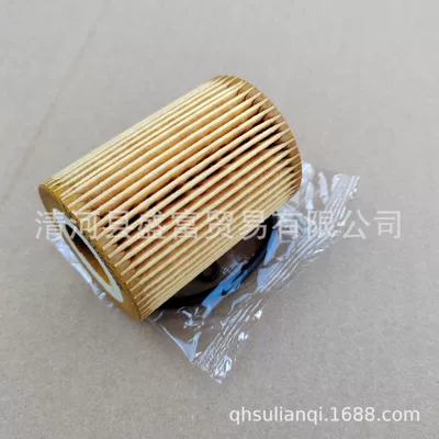core 1017110XED95, Oil filter