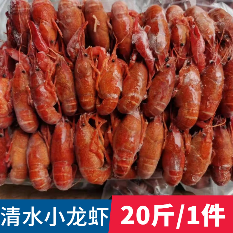 批发海鲜熟冻清水即食原味小龙虾供应酒楼餐馆大排档食材4-6钱/只