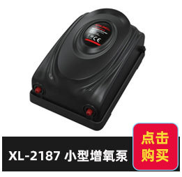 XL-2187.jpg