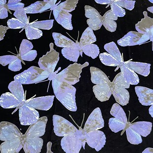 ���N�\�q����ᘿ����� ������Ⱦ��������q����z�����z�q����