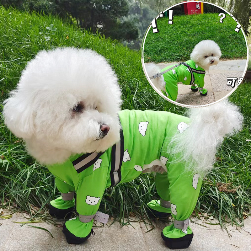 New Spring and Autumn Pet Hair-less Cat Dog Four-legged Siamese Teddy Bears Cute Printed Traction Clothing