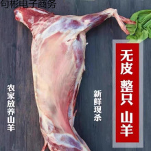 ���r����ȫ��חl��ȫ����������r��������������ϐ��10-27��