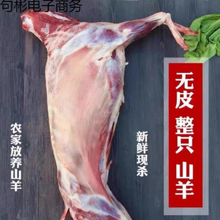 ���r����ȫ��חl��ȫ����������r��������������ϐ��10-27��