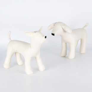 �S�����l�F؛����ģ�ط��bչʾ����ģ�͵���������СȮ