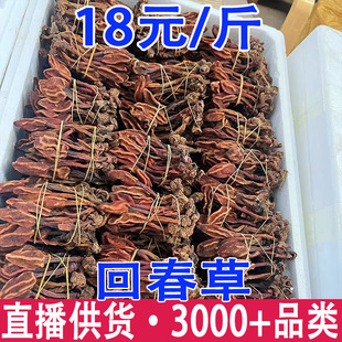 ��ϻش������������һ֧�P�ش��ݮa��؛Դһ�����l