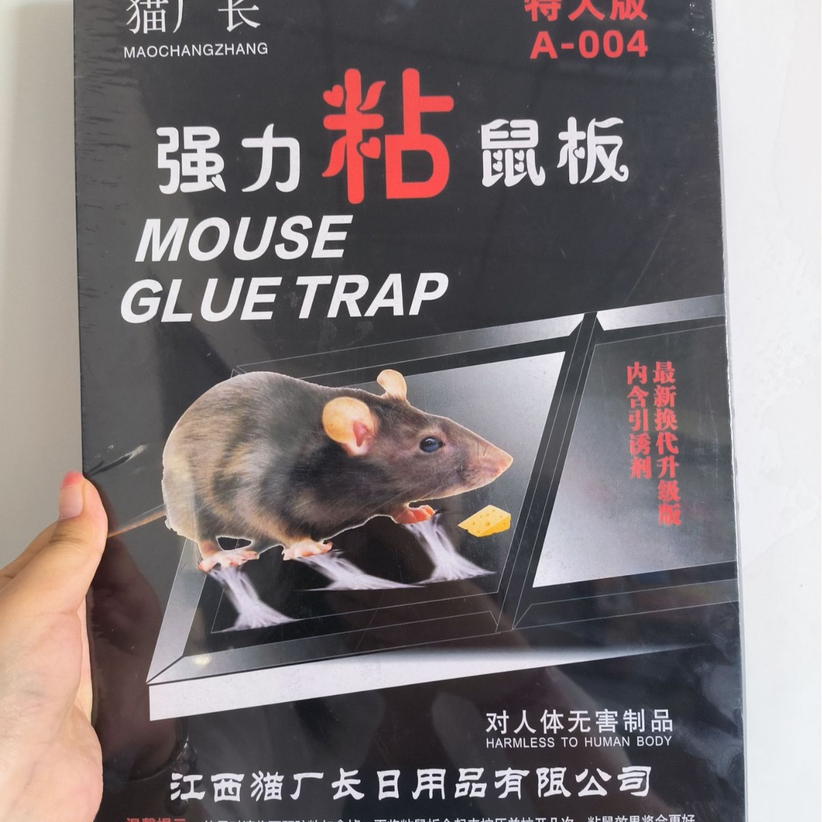 2024-07-26 08:25:22.jpg