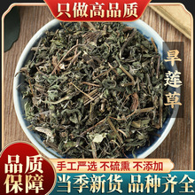 中药材旱墨莲500g 墨旱莲 旱莲草可打粉旱墨莲中药材批发厂家直销