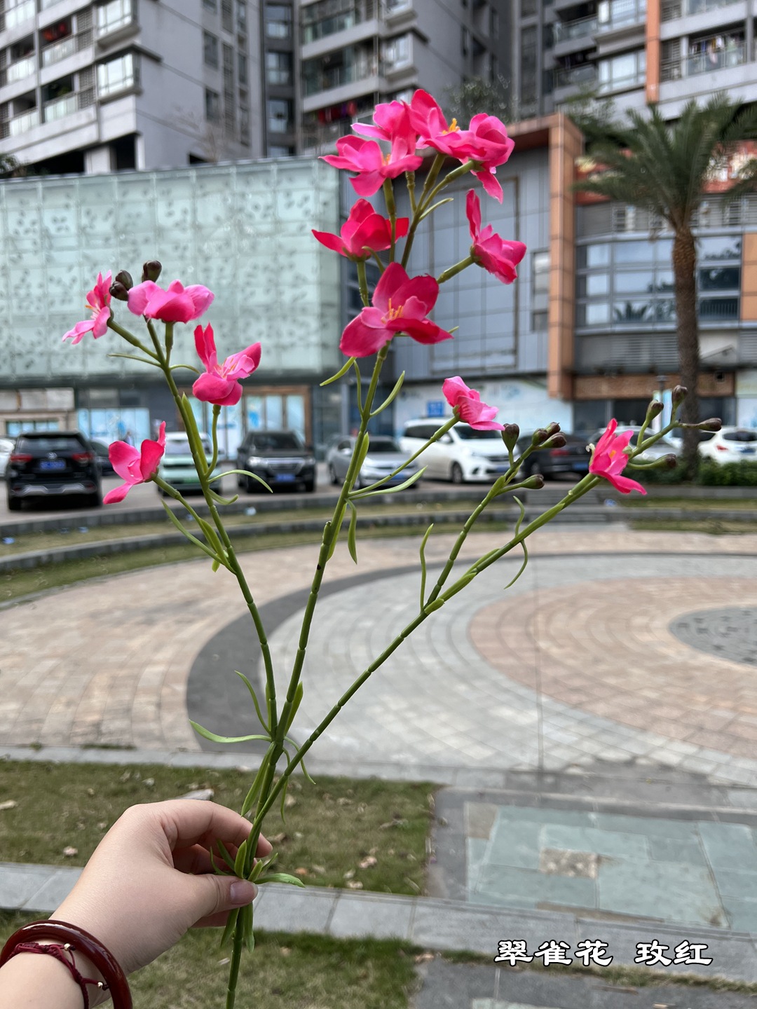 微信图片_20220318130142