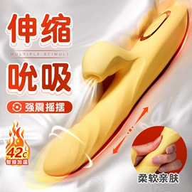 震动棒;其他女用;其他情趣用品