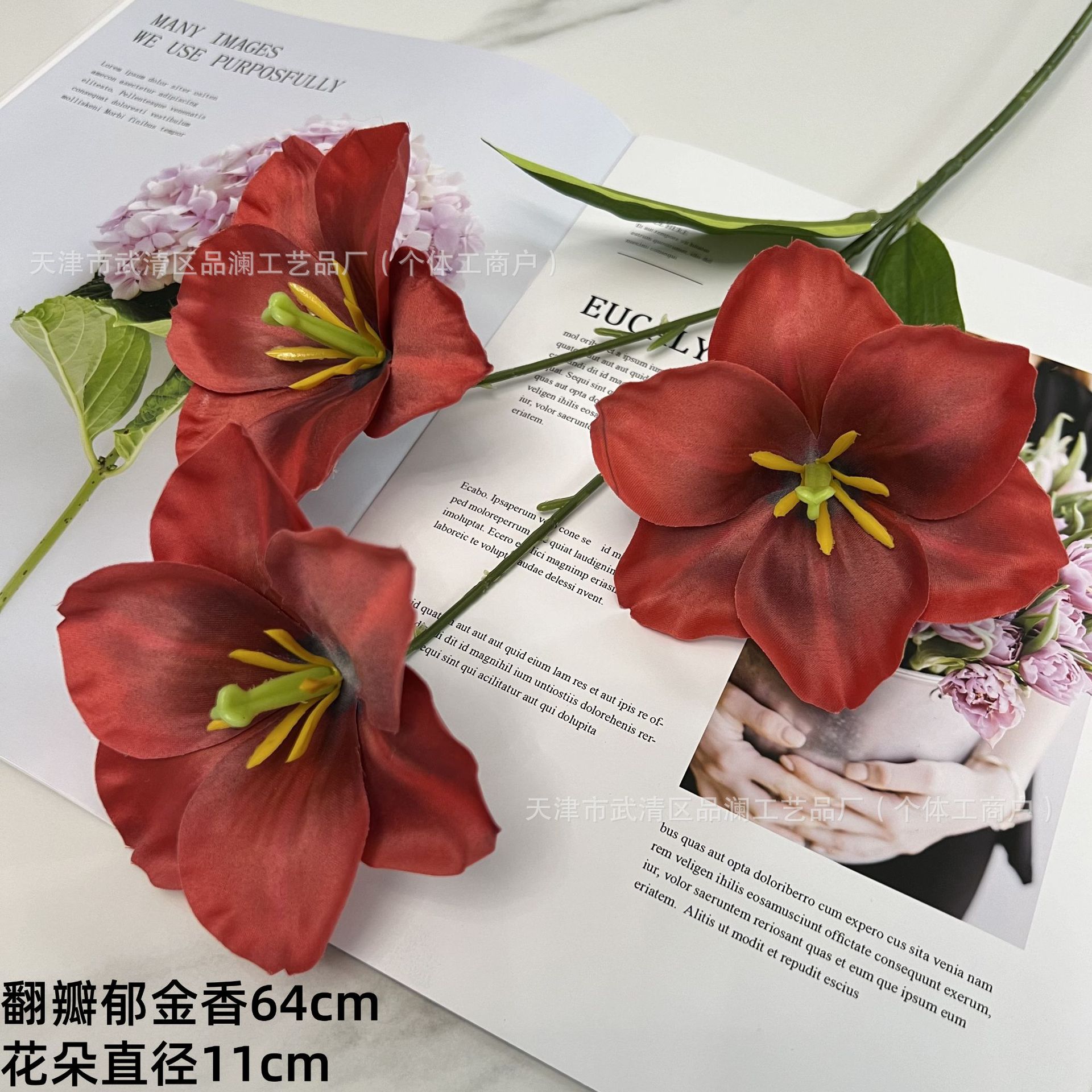 튤립을 뒤집어라