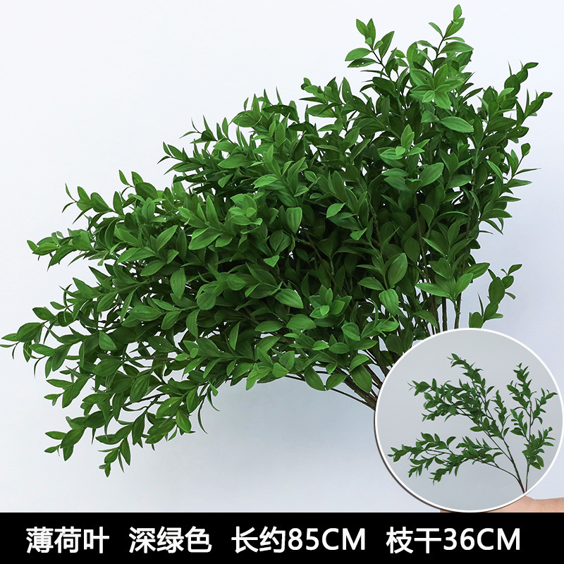 Mint leaf dark green
