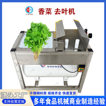 �������߲�ȥ���C �²�ȥƤ�C �ԄӴ��[��Ƥ�C ȥƤȥ��һ�w�C