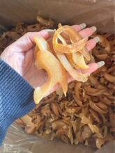 ���������������ɺ����^��������⺣�aƷ��ζ��؛���l�Ƶ�ʳ��