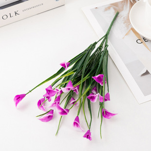 ���Ɓ��R�d�羳��������R��ɏ�Gֲ�辰�bٻ����ϻ���ɫ�R��ɏ