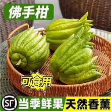 ��Ϸ��֬Fժ���r���ָ��r���^�p��ʳ�ù�ˮ����Ȼ��޹���S����