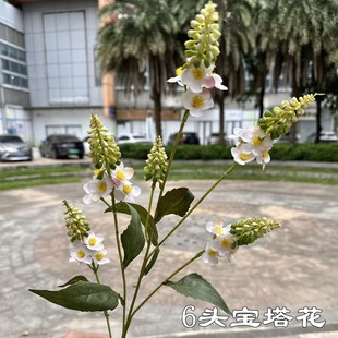 ��c�¿���滨 6�^������ ��β�� ��Y����·��ܛ�b�bٻ����l