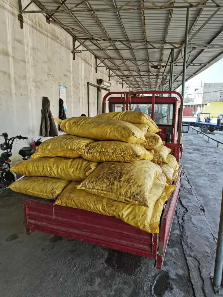 QQ图片20230609150332