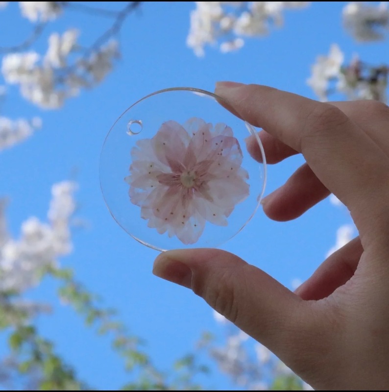 さくら限定｜エポキシ桜植物標本 永遠の花 ドライフラワー オーナメント ペンダント ギフト お土産 母|undefined