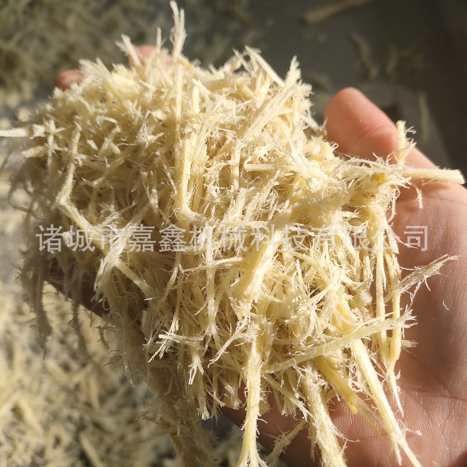 立式牛板筋拆丝机 全自动虾仁干贝瑶柱打丝 鸭胸肉打丝机厂家